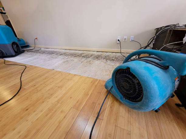 Professional Flood Damage Cleanup technician working in Adell, WI